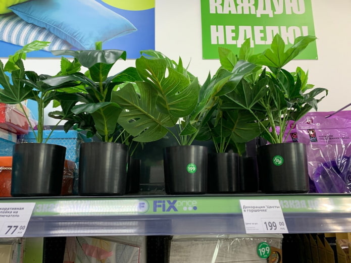 Искусственные растения