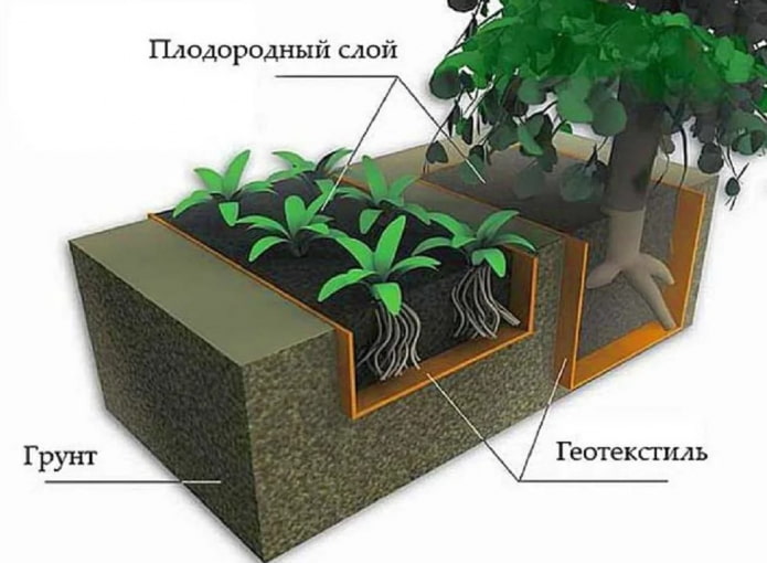 геотекстиль для корней