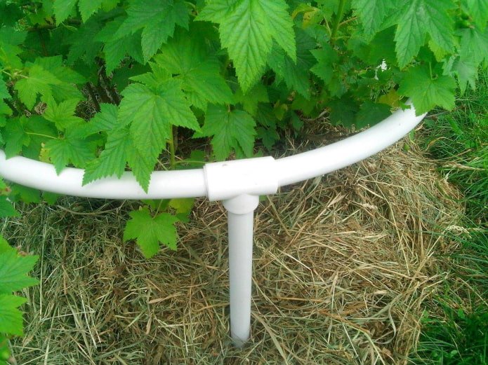 подпорки для кустарников
